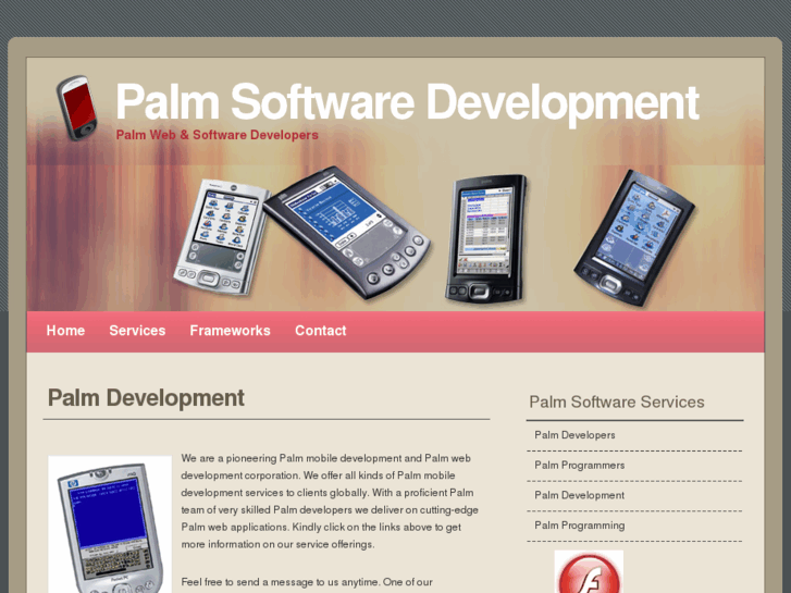 www.palmsoftwaredevelopment.com