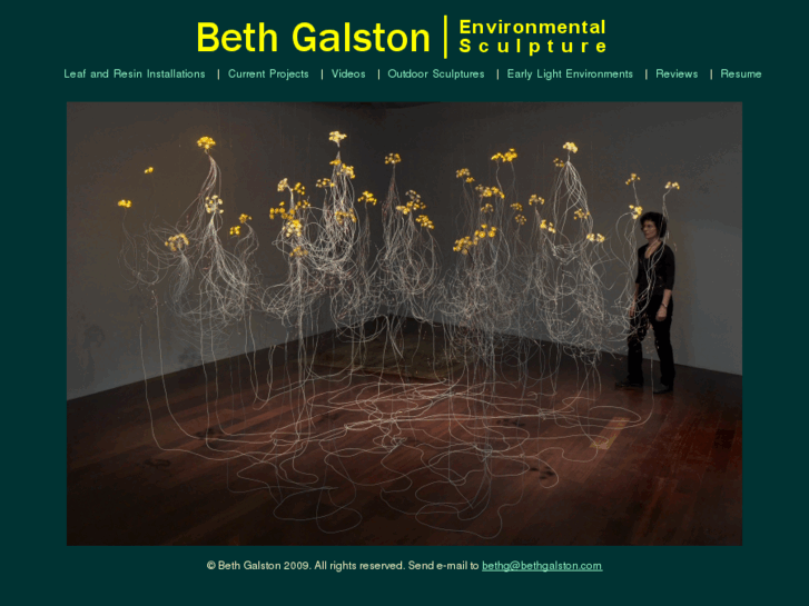 www.bethgalston.com