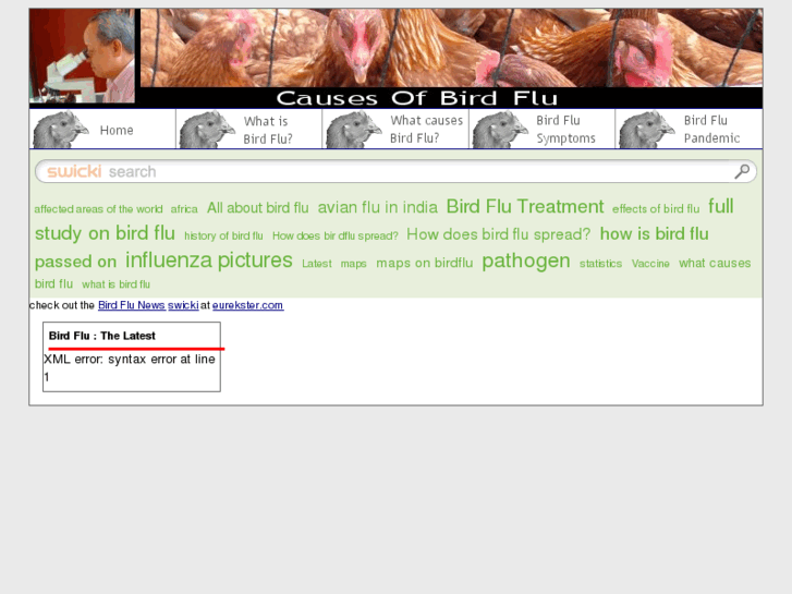 www.cause-of-bird-flu.com