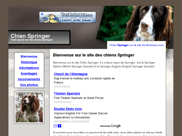 www.chienspringer.com