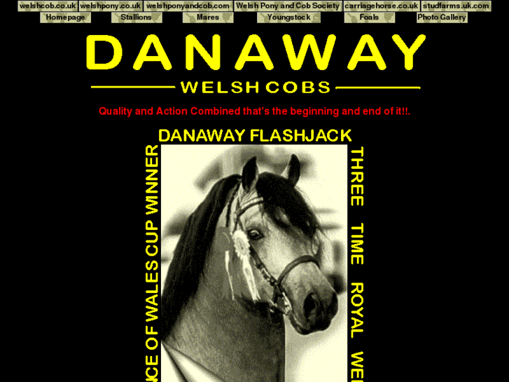 www.danawaystud.com