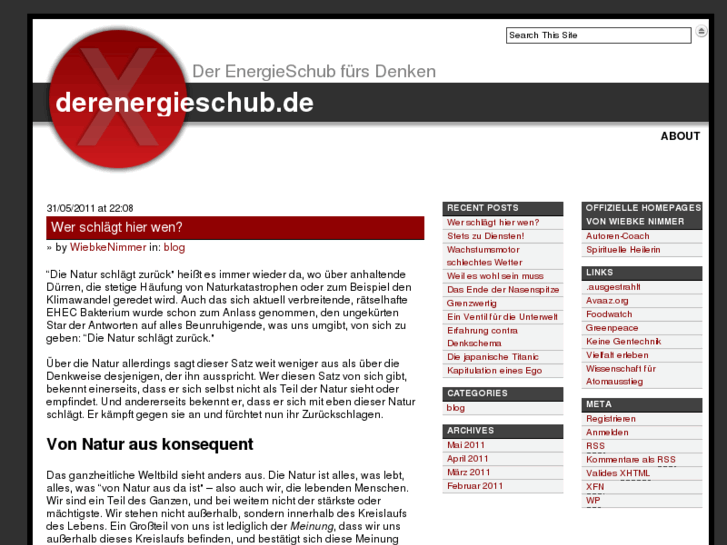 www.derenergieschub.de