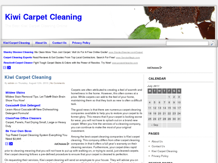 www.kiwicarpetcleaning.org