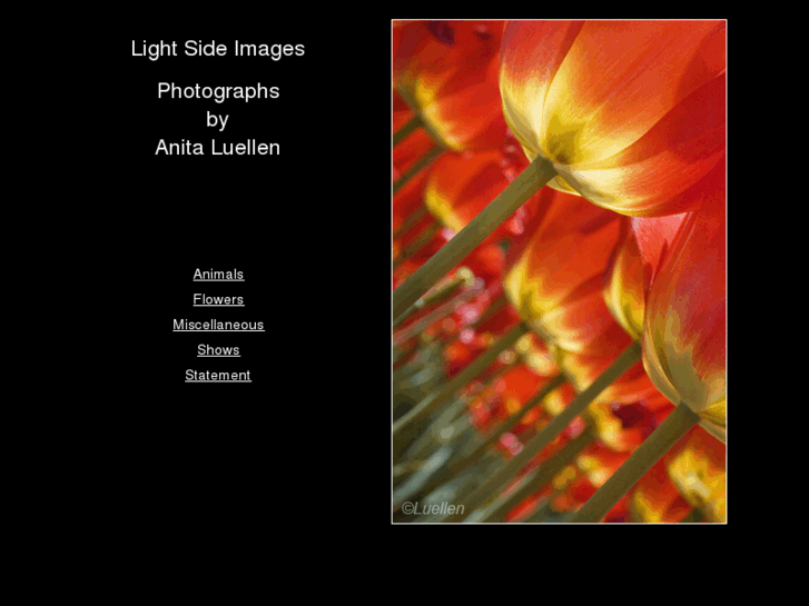 www.lightsideimages.com