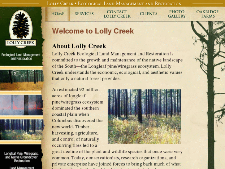 www.lollycreek.com