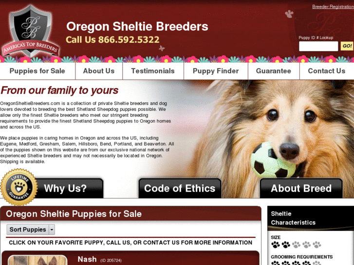 www.oregonsheltiebreeders.com