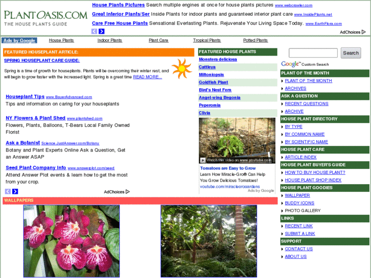 www.plantoasis.com