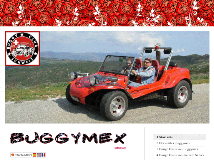 www.buggymex.com