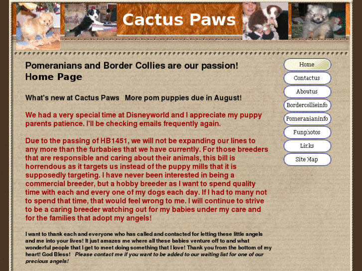 www.cactuspaws.com