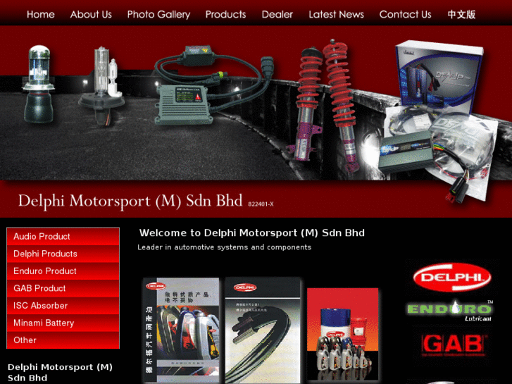 www.delphi-motorsport.com