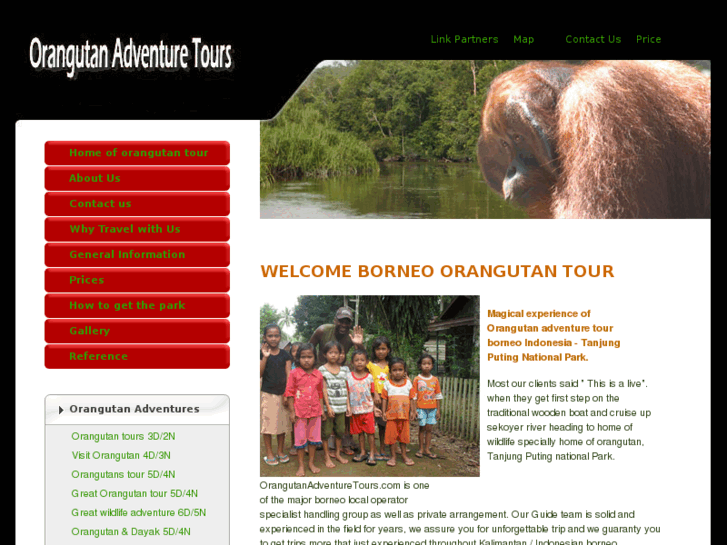 www.orangutanadventuretours.com