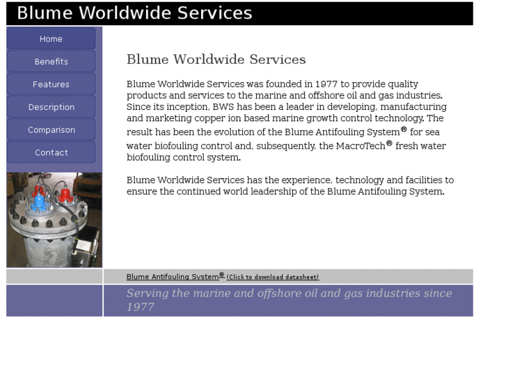 www.blumeworldwideservices.com