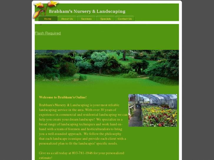 www.brabhamsnursery.com