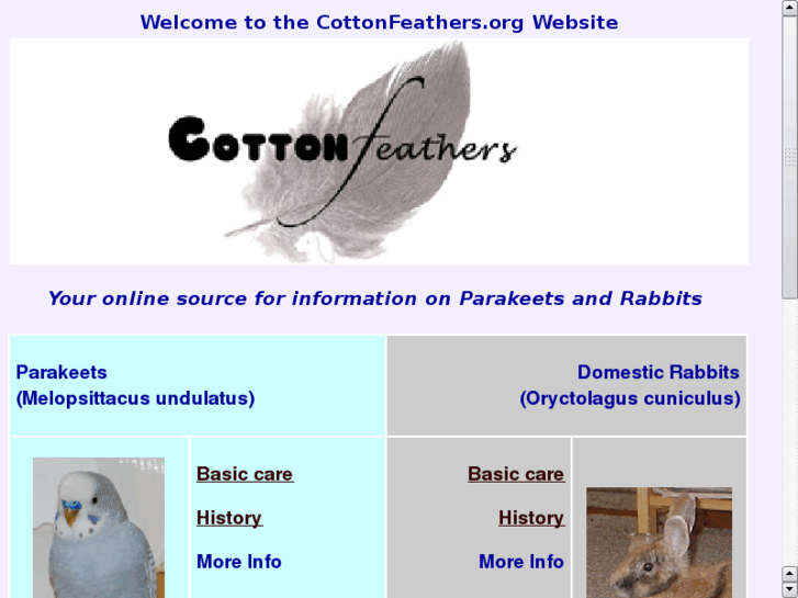 www.cottonfeathers.org