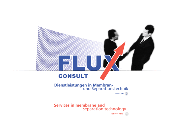 www.fluxconsult.de