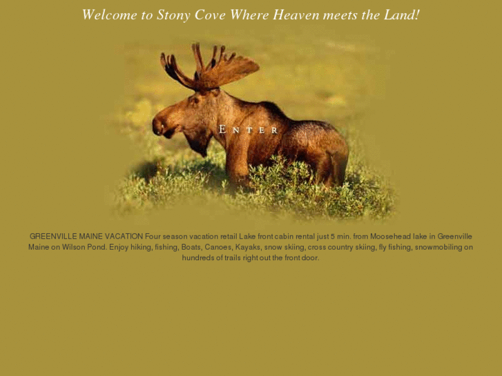 www.stonycove.com