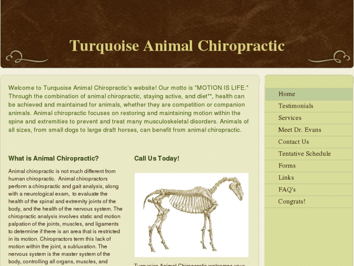 www.turquoiseanimalchiro.com