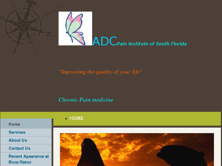 www.adcpaininstituteofsofl.com