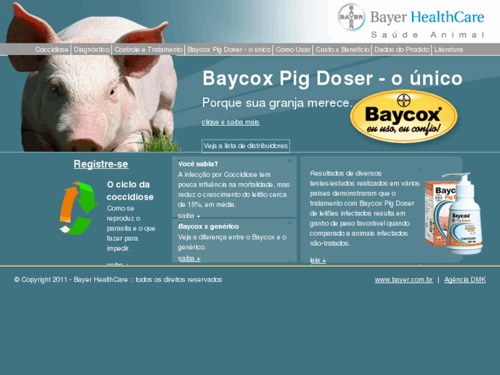 www.baycox.com.br