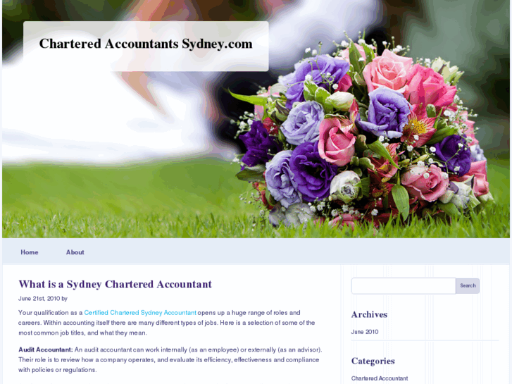 www.charteredaccountantssydney.com