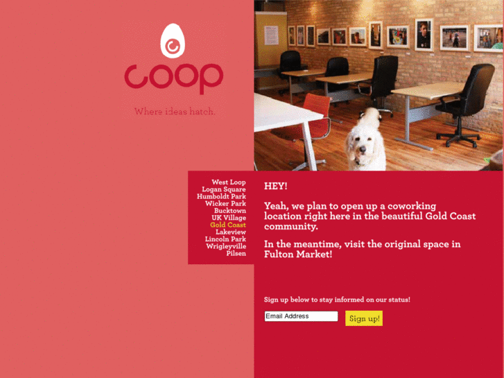 www.coworkgoldcoast.com