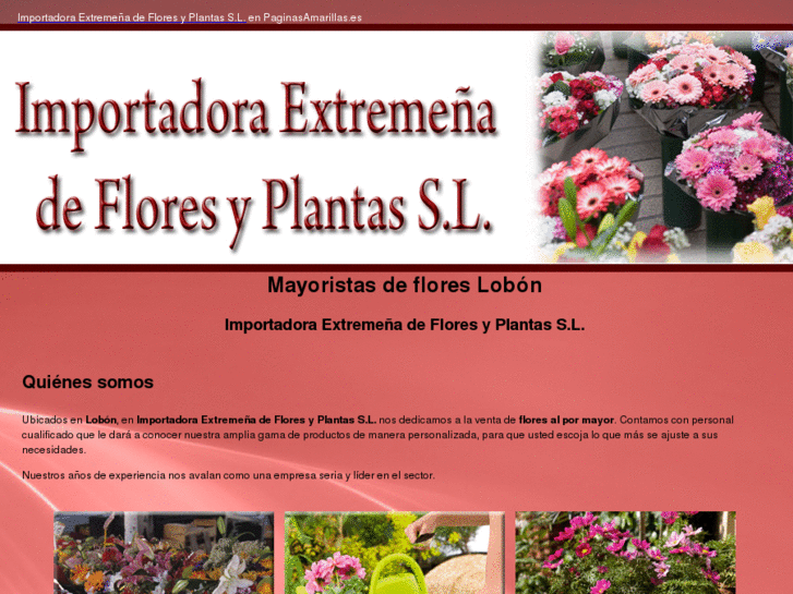 www.importadoraextremenadefloresyplantas.com