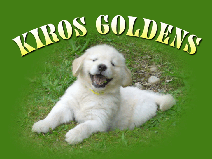 www.kirosgoldens.com