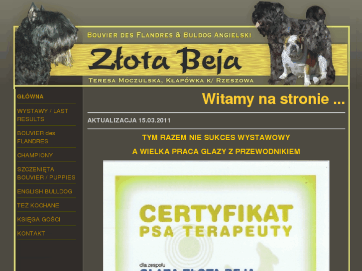 www.zlotabeja.com