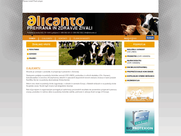 www.alicanto.si