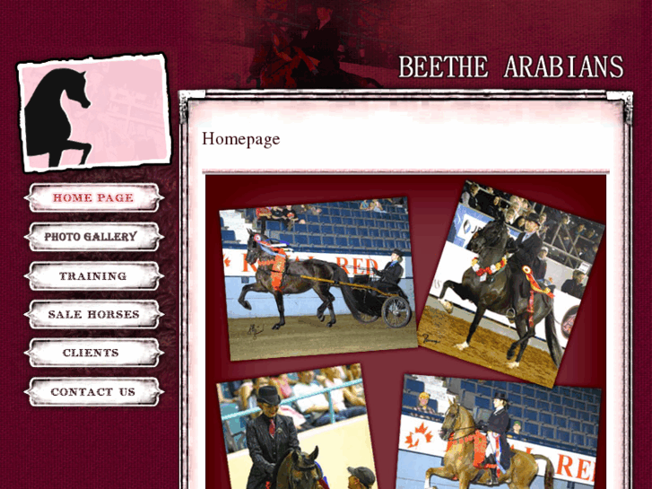 www.beethearabians.com