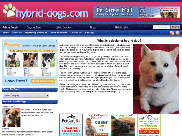 www.hybrid-dogs.com