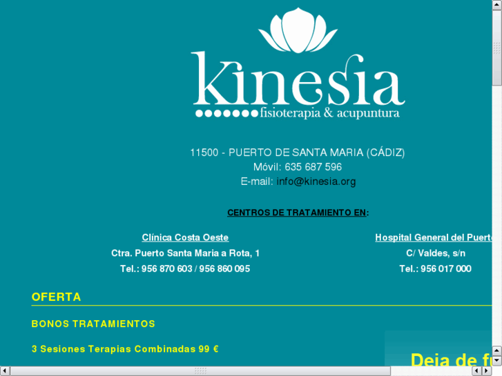 www.kinesia.org