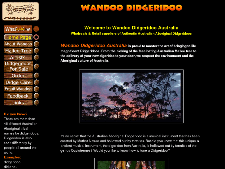 www.wandoodidgeridoo.com