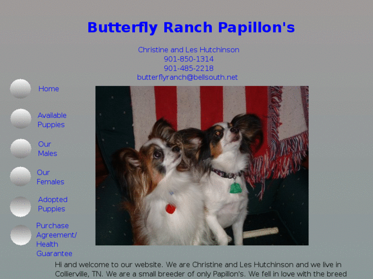 www.butterflyranchpapillons.com