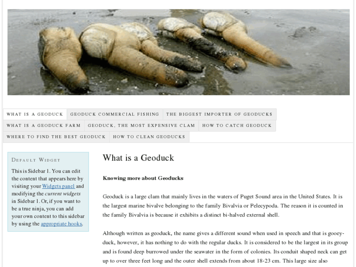 www.geoduck.com