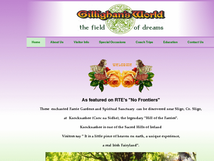 www.gillighansworld.ie