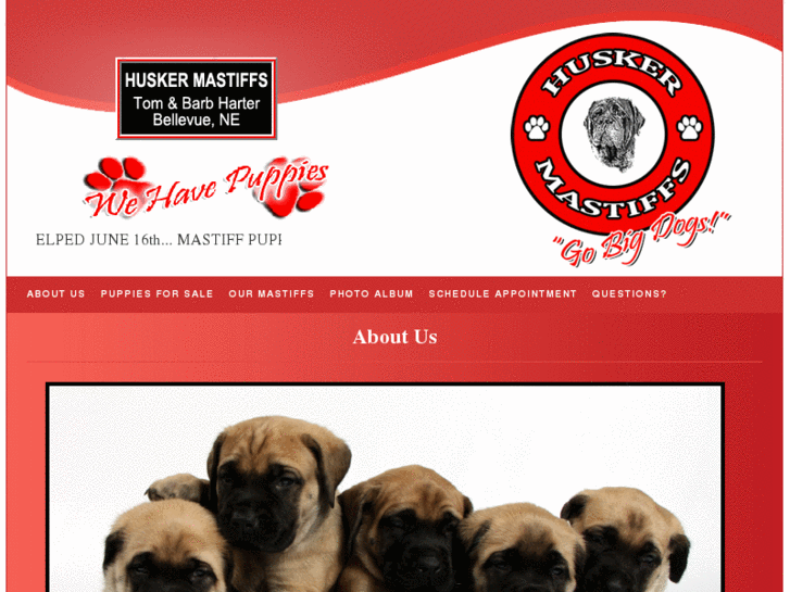 www.huskermastiffs.com