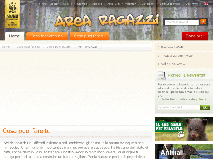 www.pandatribe.it