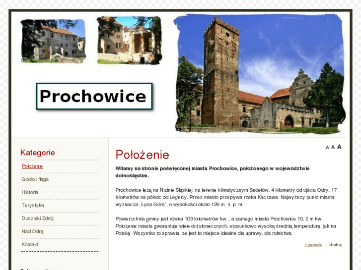 www.prochowice.com.pl