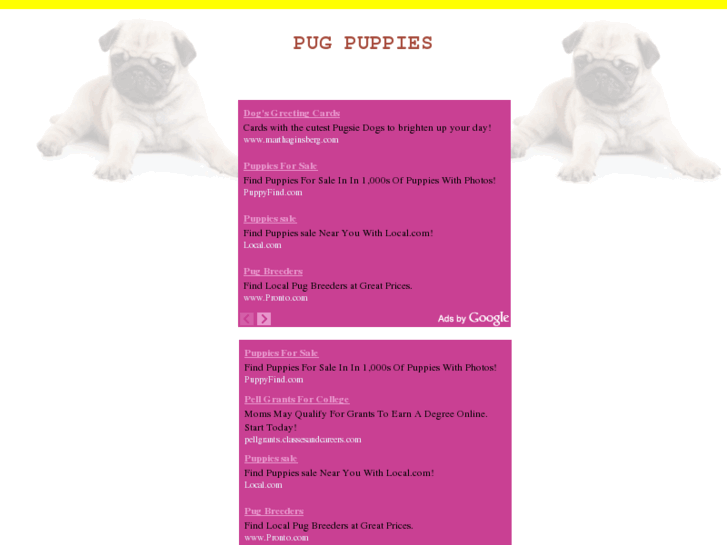 www.pugpuppies.org