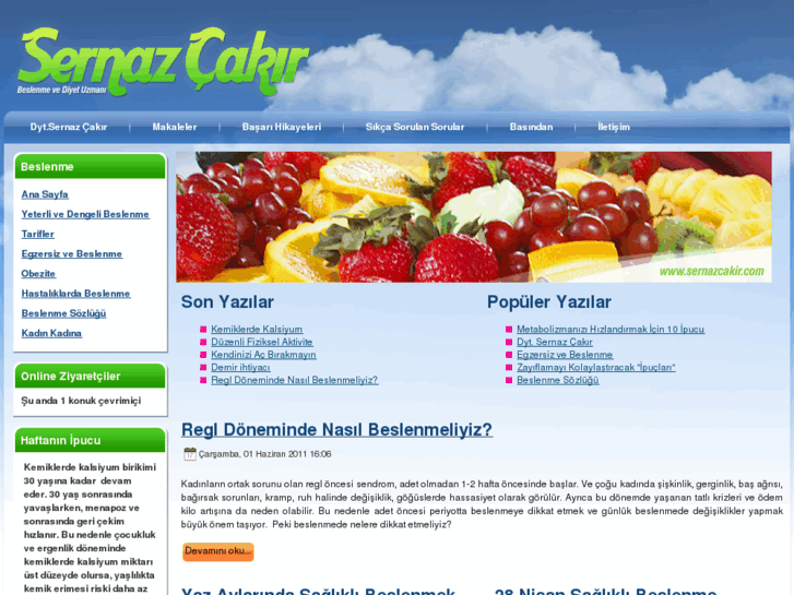 www.sernazcakir.com