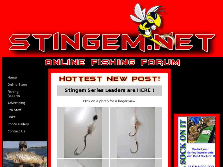 www.stingem.net