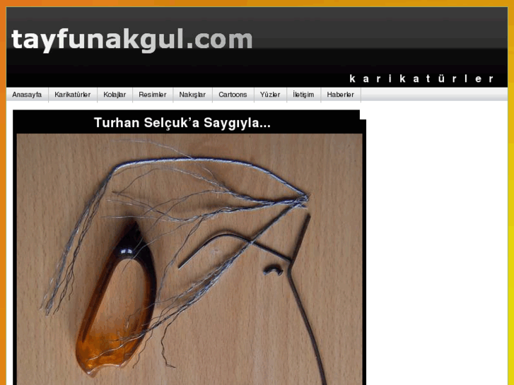 www.tayfunakgul.com