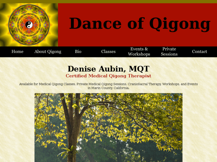 www.danceofqigong.com