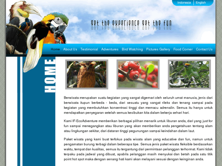 www.if-ecoadventures.com