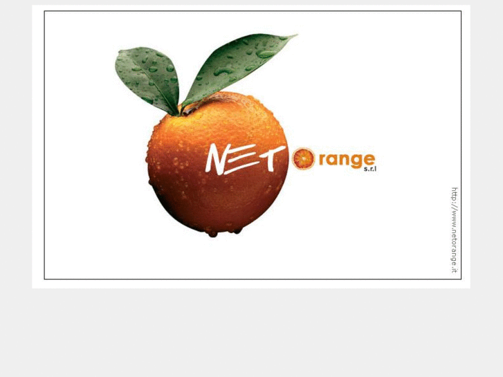 www.netorangegroup.com