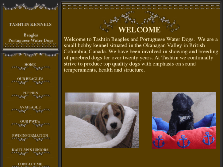 www.tashtinkennel.com