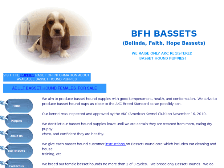 www.bfhbassets.com