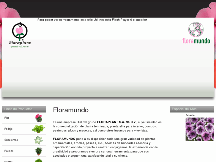 www.floramundo.com.mx