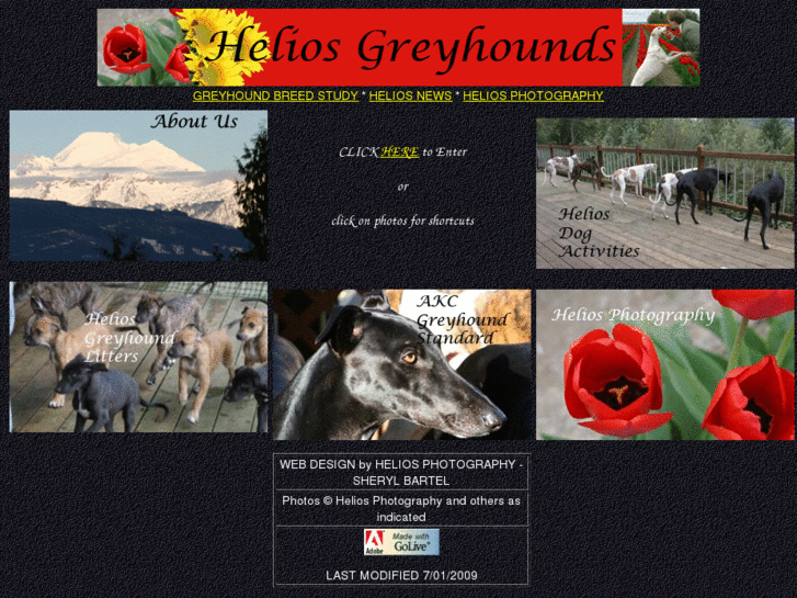 www.heliosgreyhounds.com